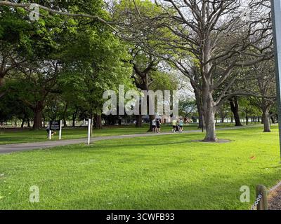 Vue panoramique de Hagley Park à Christchurch Nouvelle-Zélande paysage verdoyant arbres sentiers de randonnée lac et champs ouverts paisible parc urbain nature Banque D'Images
