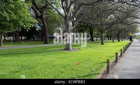 Vue panoramique de Hagley Park à Christchurch Nouvelle-Zélande paysage verdoyant arbres sentiers de randonnée lac et champs ouverts paisible parc urbain nature Banque D'Images