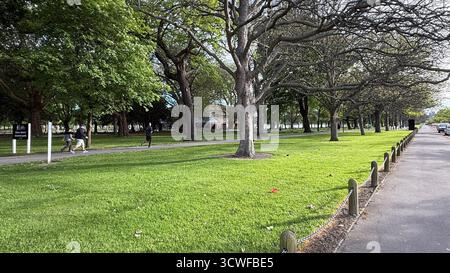 Vue panoramique de Hagley Park à Christchurch Nouvelle-Zélande paysage verdoyant arbres sentiers de randonnée lac et champs ouverts paisible parc urbain nature Banque D'Images