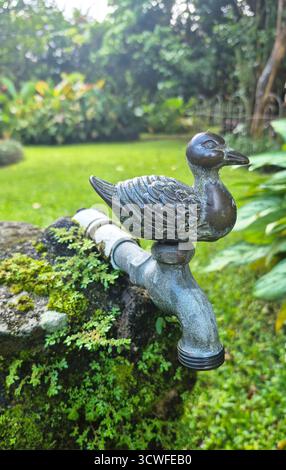 Photo en gros plan d'un robinet d'eau extérieur orné d'une figurine d'oiseau décoratif sur le dessus. Le robinet métallique, monté sur une pierre moussue, est entouré de luxuriants Banque D'Images