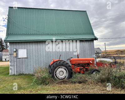 Tracteur Massey-Ferguson 65 rouge rouillé garé à côté d'une grange grise altérée, envahie d'herbe, sous un ciel nuageux dans un paysage rural. Banque D'Images