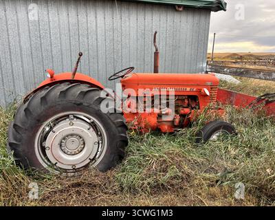 Tracteur Massey-Ferguson 65 rouge rouillé garé à côté d'une grange grise altérée, envahie d'herbe, sous un ciel nuageux dans un paysage rural. Banque D'Images