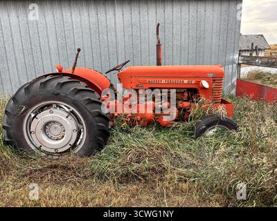 Tracteur Massey-Ferguson 65 rouge rouillé garé à côté d'une grange grise altérée, envahie d'herbe, sous un ciel nuageux dans un paysage rural. Banque D'Images