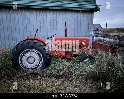 Tracteur Massey-Ferguson 65 rouge rouillé garé à côté d'une grange grise altérée, envahie d'herbe, sous un ciel nuageux dans un paysage rural. Banque D'Images