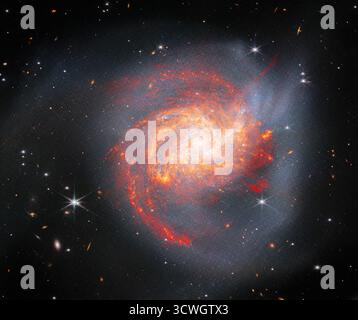 Spectaculaire galaxie spirale avec des étoiles rouges vives formant des régions dans l'immensité de l'espace. Éléments de cette image fournis par la NASA Banque D'Images