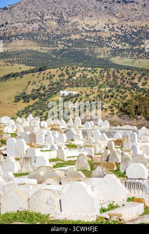Cimetière Musulman sur la colline à l'extérieur de Fès, Maroc Banque D'Images