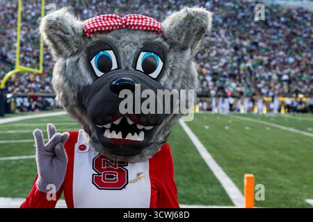 11 octobre 2025 : mascotte de l'État de Caroline du Nord lors d'un match de football NCAA entre le Wolfpack de l'État de Caroline du Nord et les notre Dame Fighting Irish au notre Dame Stadium de South Bend, Indiana. John Mersits/CSM (image crédit : © John Mersits/Cal Sport Media) Banque D'Images