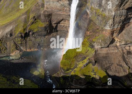 Une cascade descend en cascade une falaise abrupte entourée de roches moussues, avec un arc-en-ciel vif se formant dans la brume à la base d'un paysage islandais. Banque D'Images