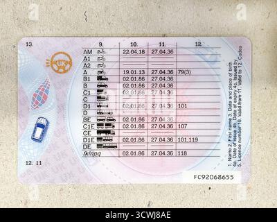 Gros plan du dos d'un permis de conduire en plastique rose de style Union européenne du Royaume-Uni montrant les différentes catégories de véhicules et les dates d'expiration Banque D'Images