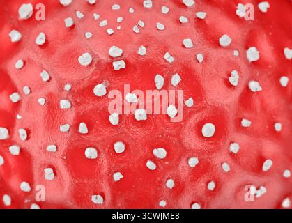 Photo de la texture d'un chapeau de champignon agarique à la mouche, fond naturel abstrait. Banque D'Images