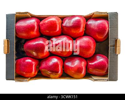 Pommes rouges Jeromine disposées dans une caisse en carton isolée sur blanc en vue de dessus avec chemin de coupe inclus Banque D'Images