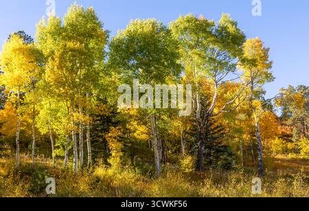 Paysage de feuillage d'automne pittoresque le long de la Highway of Legends National Scenic Byway, allant de Walsenburg à Trinidad dans le Colorado Banque D'Images