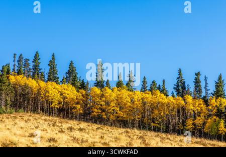 Paysage de feuillage d'automne pittoresque le long de la Highway of Legends National Scenic Byway, allant de Walsenburg à Trinidad dans le Colorado Banque D'Images