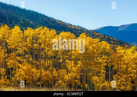 Paysage de feuillage d'automne pittoresque le long de la Highway of Legends National Scenic Byway, allant de Walsenburg à Trinidad dans le Colorado Banque D'Images