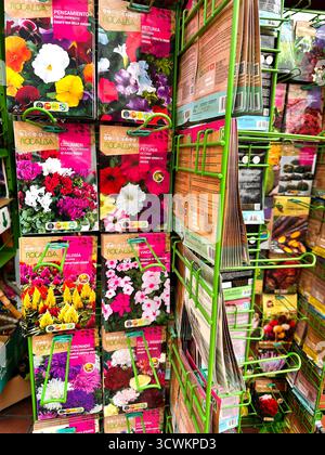 Affichage de divers paquets de graines de fleurs colorées sur un rack dans un magasin de jardinage, présentant une large sélection d'options de jardinage Tenerife Canaries Banque D'Images