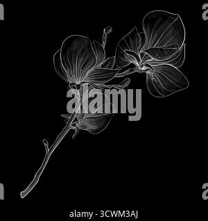 magnifique arbre magnolia monochrome en fleurs de brindilles noir et blanc. fleur isolée. Illustration de Vecteur