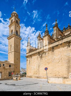 À Jerez de la Frontera, le clocher baroque s’élève à côté du flanc fortifié de la cathédrale sous un ciel bleu éclatant avec des nuages éparpillés. Banque D'Images