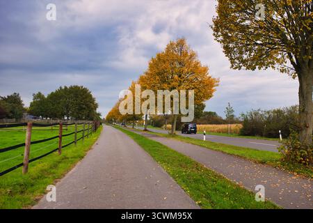 Route d'automne sinueuse flanquée d'arbres dorés vibrants avec voiture de passage dans un cadre serein de campagne Banque D'Images