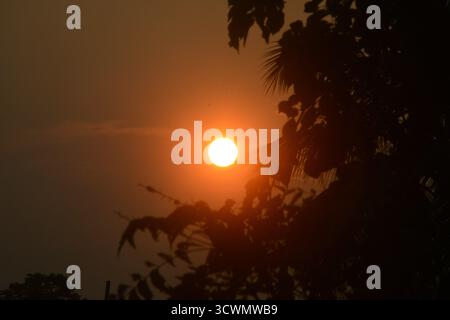 Siliguri, Bengale occidental, Inde. 13 octobre 2025. Le Soleil est représenté à travers les arbres tandis qu'il se lève à Siliguri. (Crédit image : © Diptendu Dutta/ZUMA Press Wire) USAGE ÉDITORIAL SEULEMENT ! Non destiné à UN USAGE commercial ! Banque D'Images