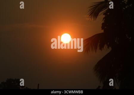 Siliguri, Bengale occidental, Inde. 13 octobre 2025. Le Soleil est représenté à travers les arbres tandis qu'il se lève à Siliguri. (Crédit image : © Diptendu Dutta/ZUMA Press Wire) USAGE ÉDITORIAL SEULEMENT ! Non destiné à UN USAGE commercial ! Banque D'Images