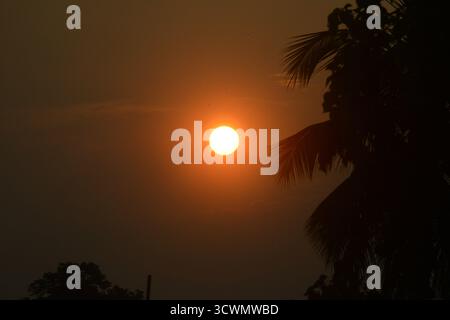 Siliguri, Bengale occidental, Inde. 13 octobre 2025. Le Soleil est représenté à travers les arbres tandis qu'il se lève à Siliguri. (Crédit image : © Diptendu Dutta/ZUMA Press Wire) USAGE ÉDITORIAL SEULEMENT ! Non destiné à UN USAGE commercial ! Banque D'Images