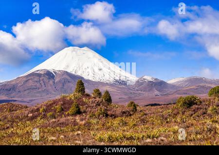 Le volcan Mont Ngauruhoe, couvert de neige, dans le parc national de Tongariro, Nouvelle-Zélande. Le volcan peut être escaladé lors de la célèbre promenade d'une journée... Banque D'Images