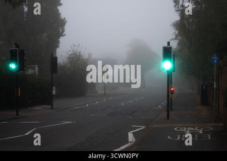 Feux de circulation pour piétons dans le brouillard à Green, Warwick, Warwickshire, Royaume-Uni Banque D'Images