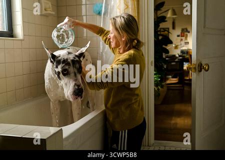 The Friend (2024) réalisé par Scott McGehee et David Siegel et mettant en vedette Naomi Watts dans le rôle d'Iris et Bing dans le rôle d'Apollo. Un écrivain solitaire se lie avec un Grand Danois hérité d'un ami décédé, confrontant le chagrin et redécouvrant la créativité. Photographie publicitaire À USAGE ÉDITORIAL EXCLUSIF. Crédit : BFA / Matt Infante / Bleecker Street Banque D'Images