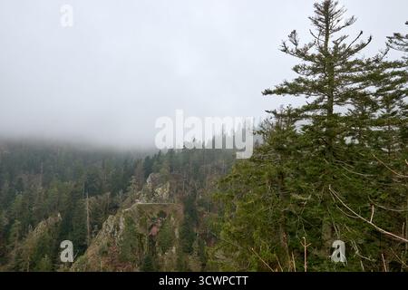 Un paysage montagneux brumeux à couper le souffle avec une forêt dense à feuilles persistantes couvrant des falaises rocheuses abruptes dans la Forêt Noire, en Allemagne. Le brouillard roule Banque D'Images