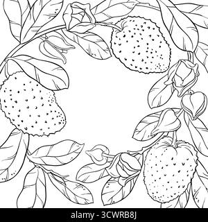Branche de Soursop avec cadre de contour de fruits. Illustration de Vecteur