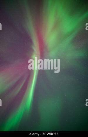 Une couronne aurorale en mouvement rapide entourée d'étoiles prises au-dessus de la plage de Telegrafbukta à Tromsø par une nuit claire. aurores rouge, rose, violet et vert Banque D'Images
