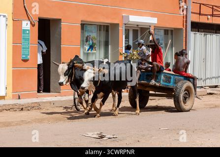 Miandrivazo, Madagascar - 11 octobre 2025 : des bœufs de zébu tirant une charrette en bois avec des habitants dans les rues de Miandrivazo, dans la région de Menabe. Banque D'Images