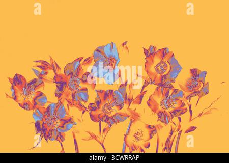 Fleurs artistiques numériques sur un fond de pêche doux. Modification audacieuse avec des teintes violettes, orange et bleues. Style botanique moderne, minimal et décoratif. COP Banque D'Images