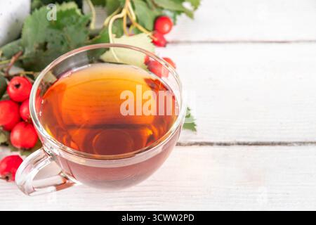 Thé parfumé aux baies d'aubépine d'automne. Boisson chaude biologique à base de plantes à base de baies d'aubépine de forêt sauvage, sur fond de bois blanc Banque D'Images