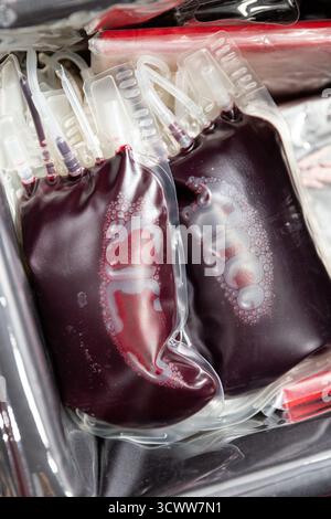 Poches de sang dans un compartiment réfrigéré à température contrôlée rempli de sang de donneur. Soins de santé et concept transfusionnel Banque D'Images