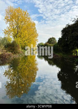 Automne le long du canal Kennet et Avon près de Hungerford dans le Berkshire. Banque D'Images