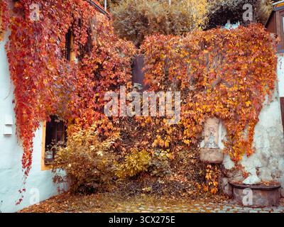 Allemagne, Bavière, Munich, château de Neschwanstein, petite ville de Landsberg am Lech, paysages d'automne et photos de la ville. Mairie, parc, surf, Oktoberfe Banque D'Images