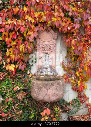 Allemagne, Bavière, Munich, château de Neschwanstein, petite ville de Landsberg am Lech, paysages d'automne et photos de la ville. Mairie, parc, surf, Oktoberfe Banque D'Images