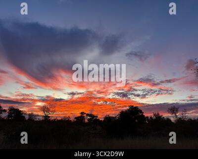 Une photo grand angle d'un magnifique coucher de soleil africain Banque D'Images