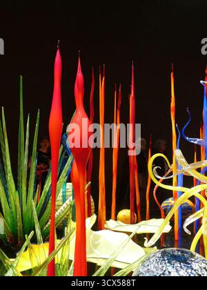 SEATTLE - APR 25, 2025 - des œuvres d'art colorées en verre soufflé planent sur fond sombre, créant des formes sculpturales organiques rappelant la soie botanique Banque D'Images