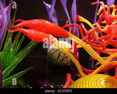 SEATTLE - APR 25, 2025 - sculptures en verre orange vif, jaune, vert et violet formant une représentation abstraite de plantes sous-marines exotiques, featurin Banque D'Images