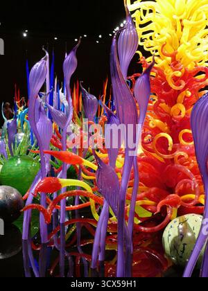 SEATTLE - APR 25, 2025 - des sculptures vibrantes en verre soufflé à la main ressemblant à des plantes sous-marines créent une scène captivante avec des tiges et des vrilles colorées Banque D'Images