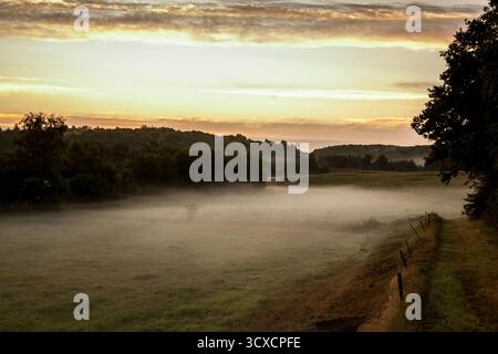 matin sombre et froid avec du brouillard rampant sur les champs avec sentier de marche dans le paysage Banque D'Images