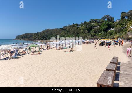 Noosa Heads main Beach, Noosa Heads, Shire of Noosa, Sunshine Coast Region, Queensland, Australie Banque D'Images