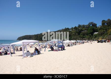 Noosa Heads main Beach, Noosa Heads, Shire of Noosa, Sunshine Coast Region, Queensland, Australie Banque D'Images