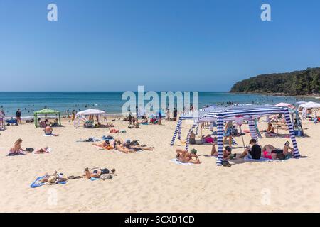 Noosa Heads main Beach, Noosa Heads, Shire of Noosa, Sunshine Coast Region, Queensland, Australie Banque D'Images
