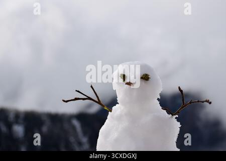 Bonhomme de neige avec des bâtons et des aiguilles de pin comme yeux. Convient pour l'hiver, Noël, les vacances et les thèmes de l'enfance. Joyeux, froid, ludique. Banque D'Images