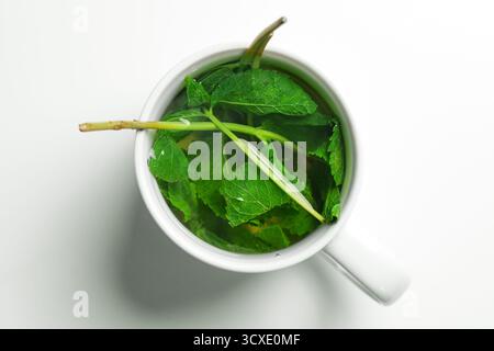 Brassage de brins de menthe avec des feuilles et des tiges dans une tasse en céramique sur une table blanche. Boisson de guérison saine Banque D'Images