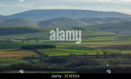 Vue aérienne sur des terres agricoles ondulées et des forêts en direction des Cheviot Hills sous la lumière automnale, frontières écossaises, Écosse, Royaume-Uni Banque D'Images
