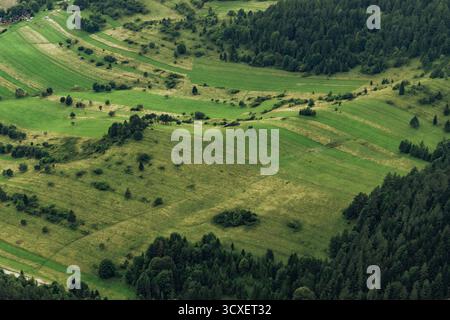 Vue aérienne des montagnes verdoyantes, des forêts et des prairies en été, montrant des collines luxuriantes et un paysage naturel dynamique. Banque D'Images